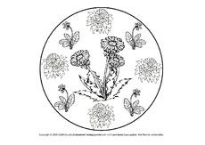 Blumenmandala-08-12.pdf